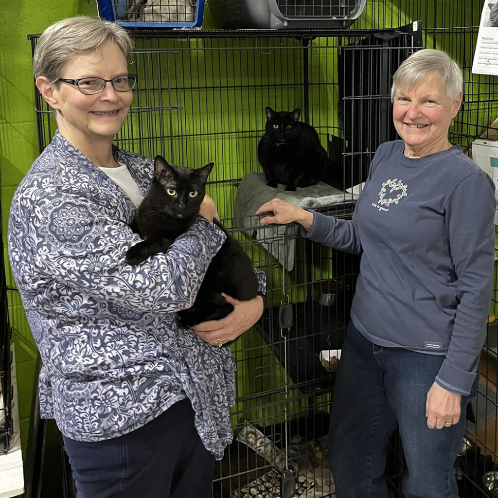 Dec 2025 Adopter (4)