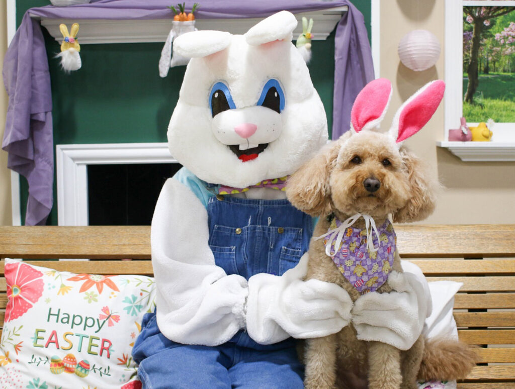 Easter Bunny