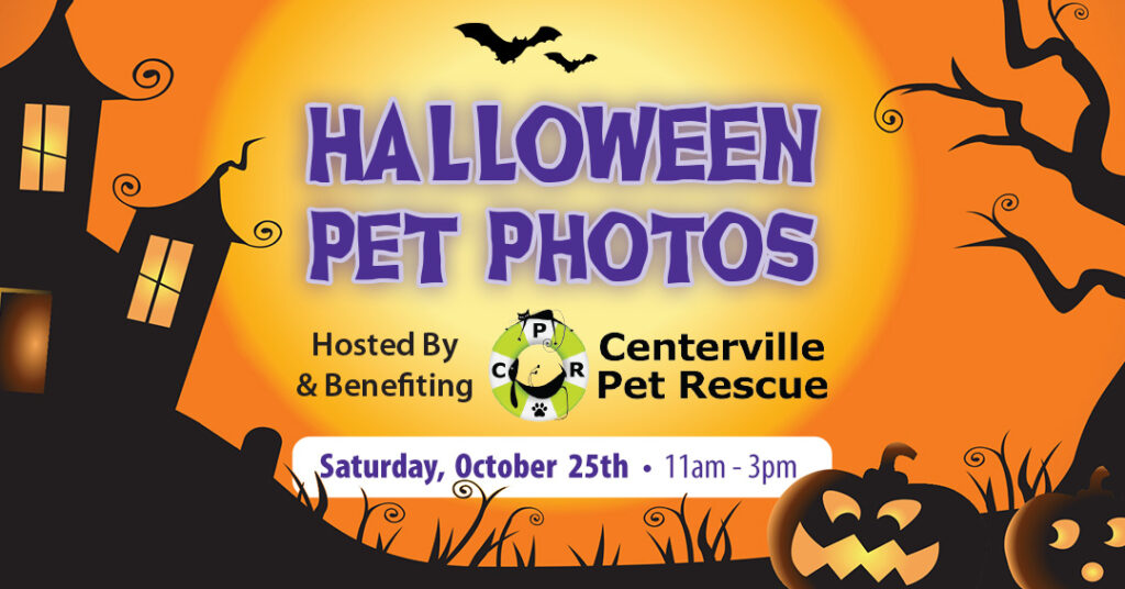 Halloween Pet Photos 2025