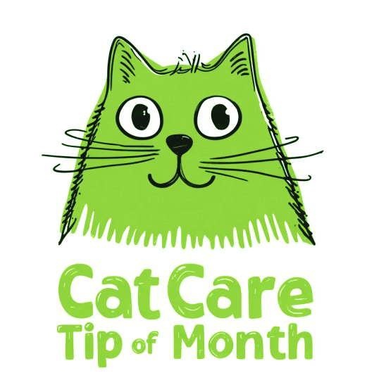 Cat Care Tip