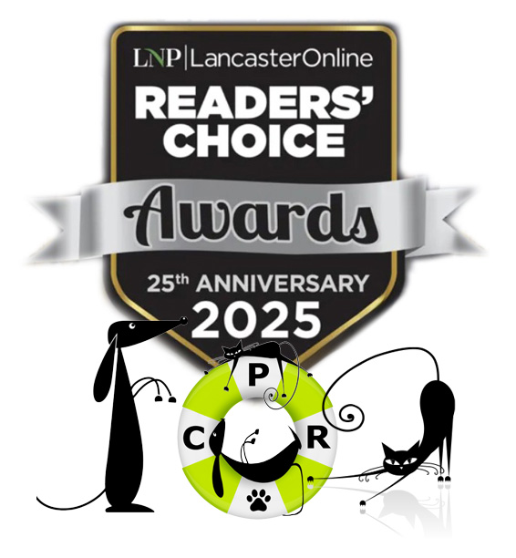 2025 LNP Readers Choice Awards
