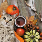 October 2025 Newsletter