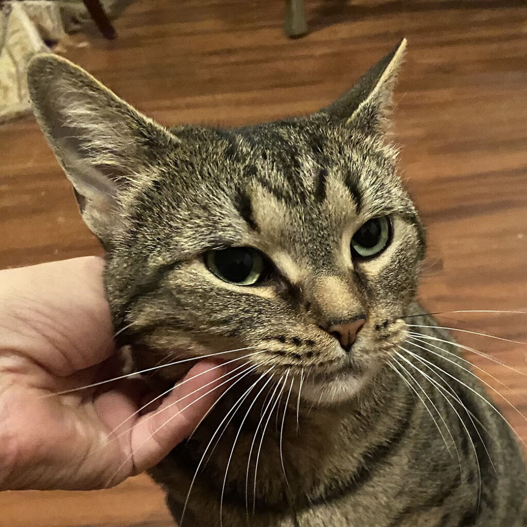 Momma Rosie Chin Rub