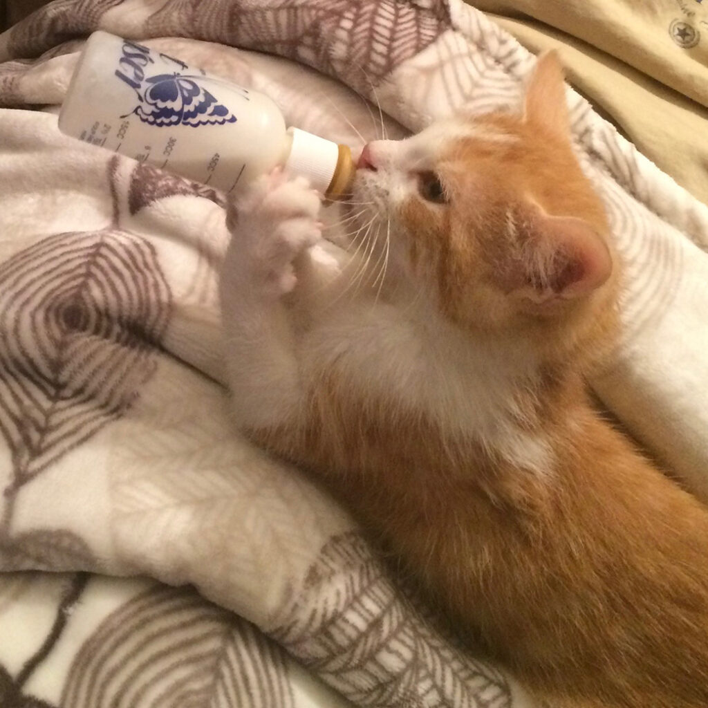 Rudy and His Bottle