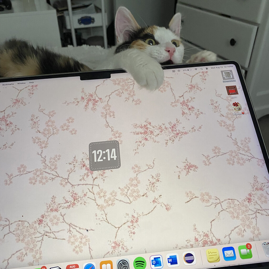 Sopita Monitor Snack