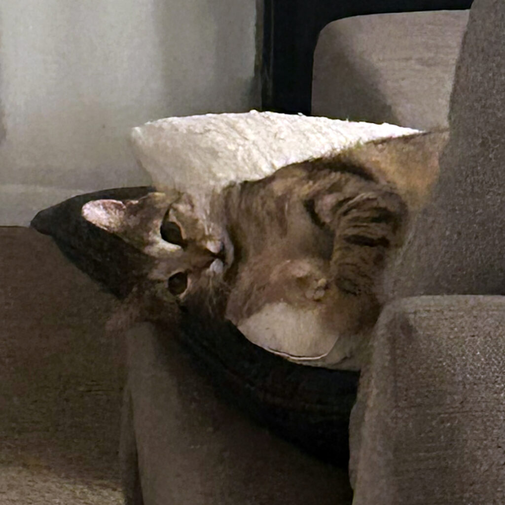 Isabella on the Couch