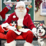 December 2025 Newsletter