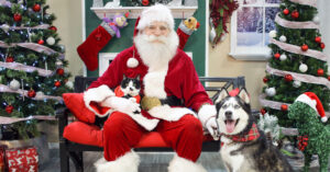 Santa with Dog and Cat