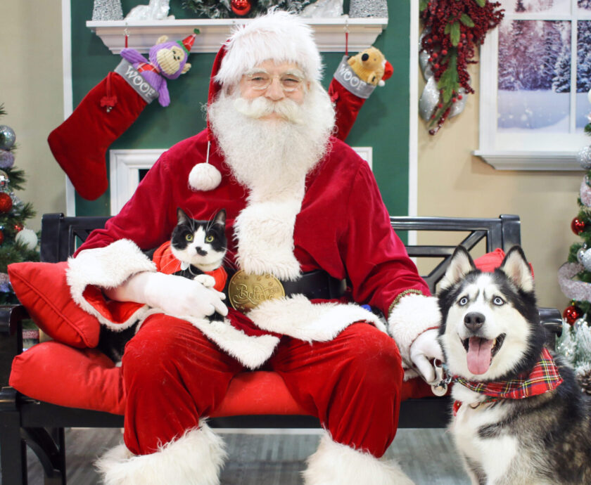 Santa with Dog and Cat