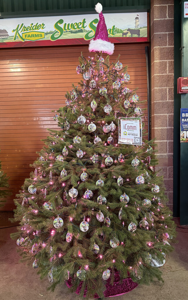 Christmas Tree Lane Rescue Tree