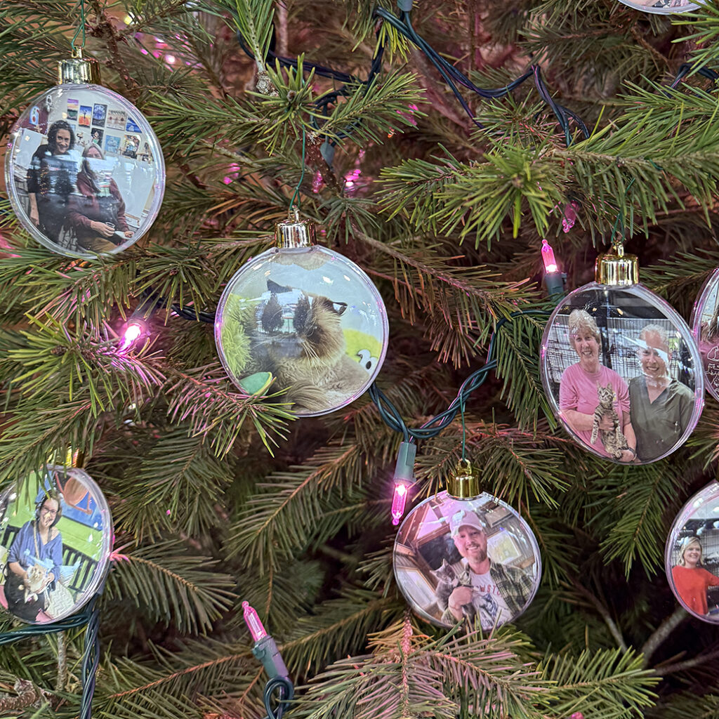 Tree Ornaments