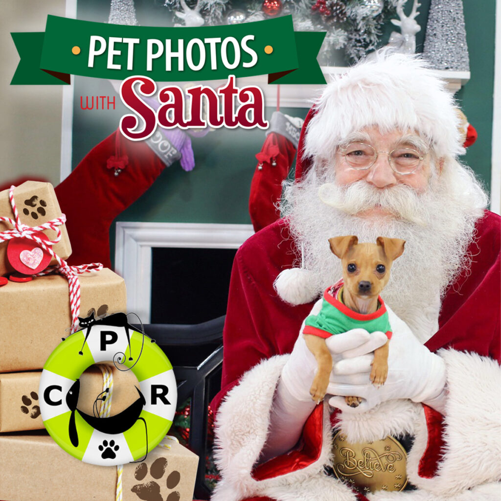 Santa Pet Photos
