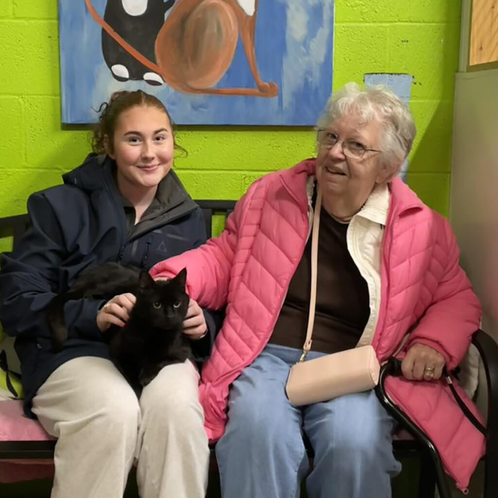 Jan 2026 Adopter (26)