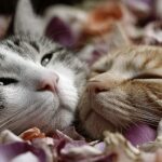 February 2026 Newsletter