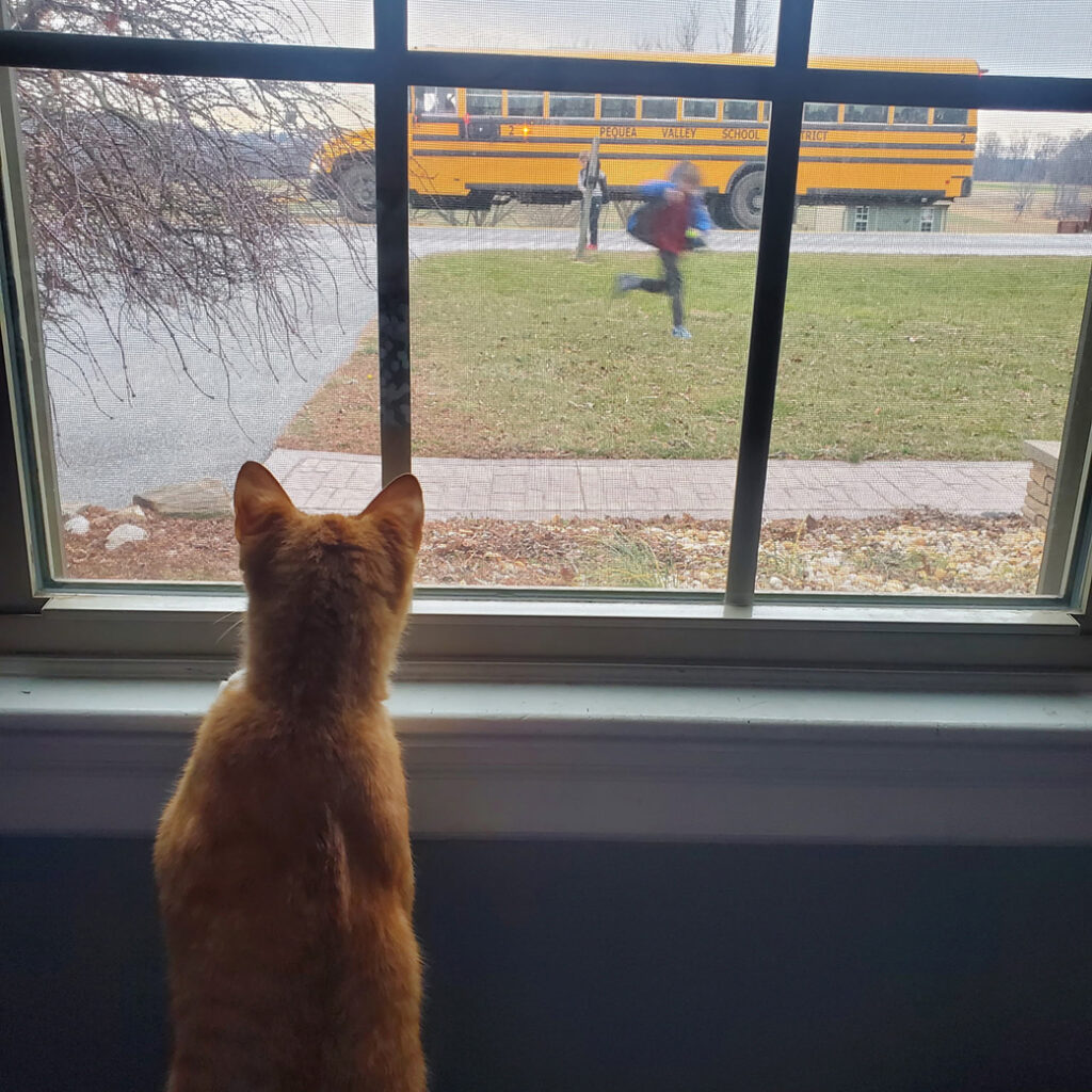 Crash waiting for his kids