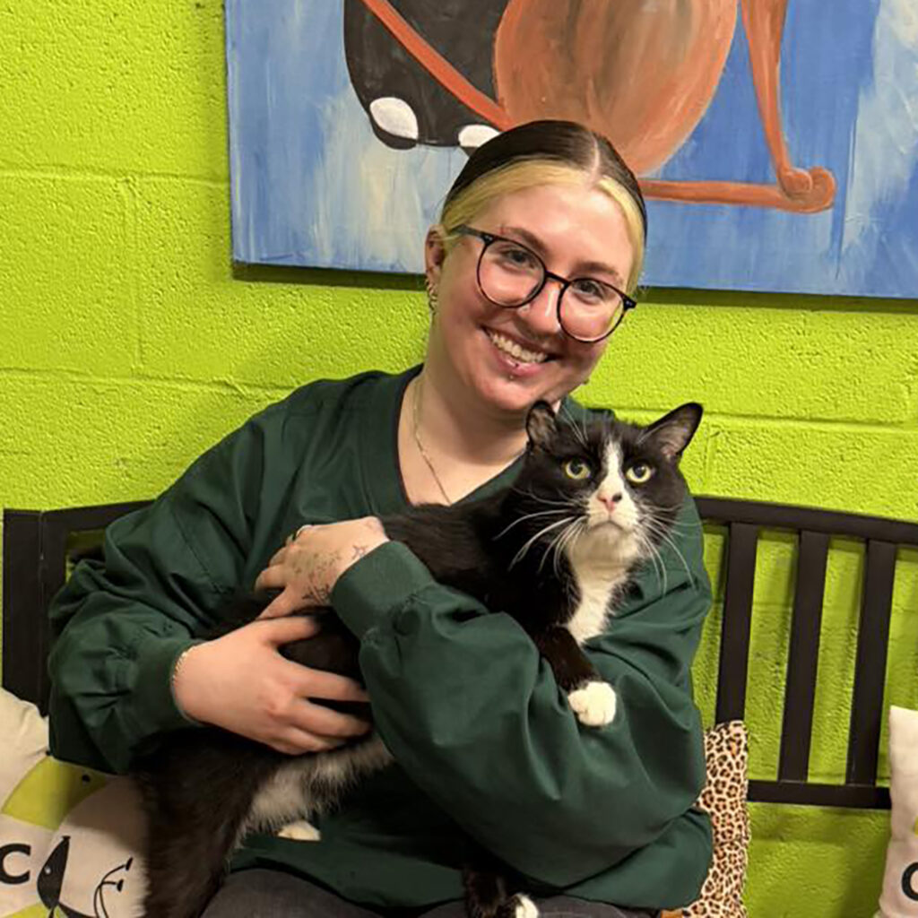 Feb 2026 Adopter (19)