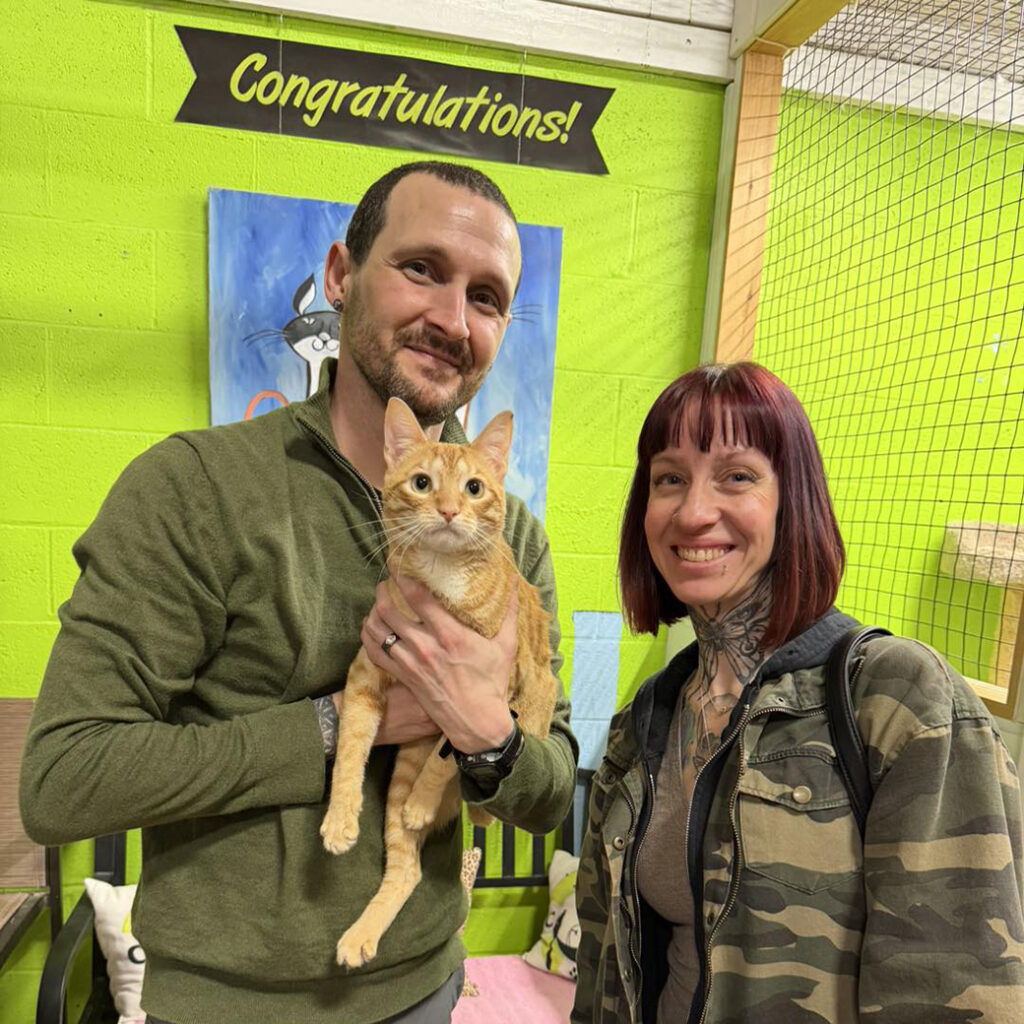 Feb 2026 Adopter (23)