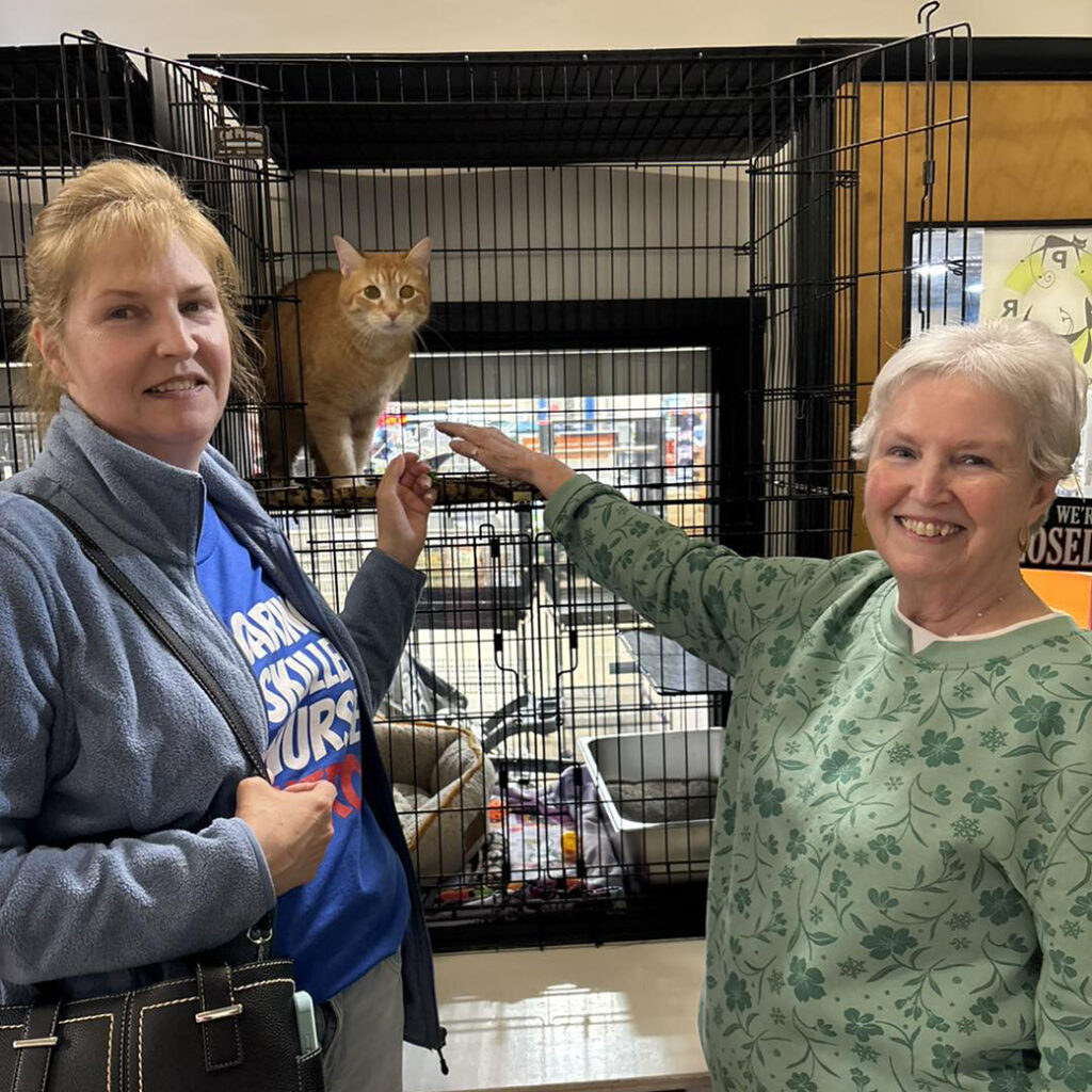 Feb 2026 Adopter (28)