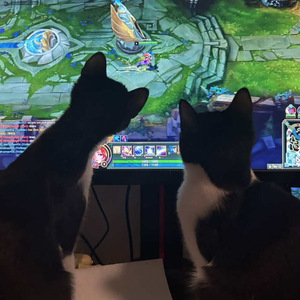 Cycles and Evee Gaming