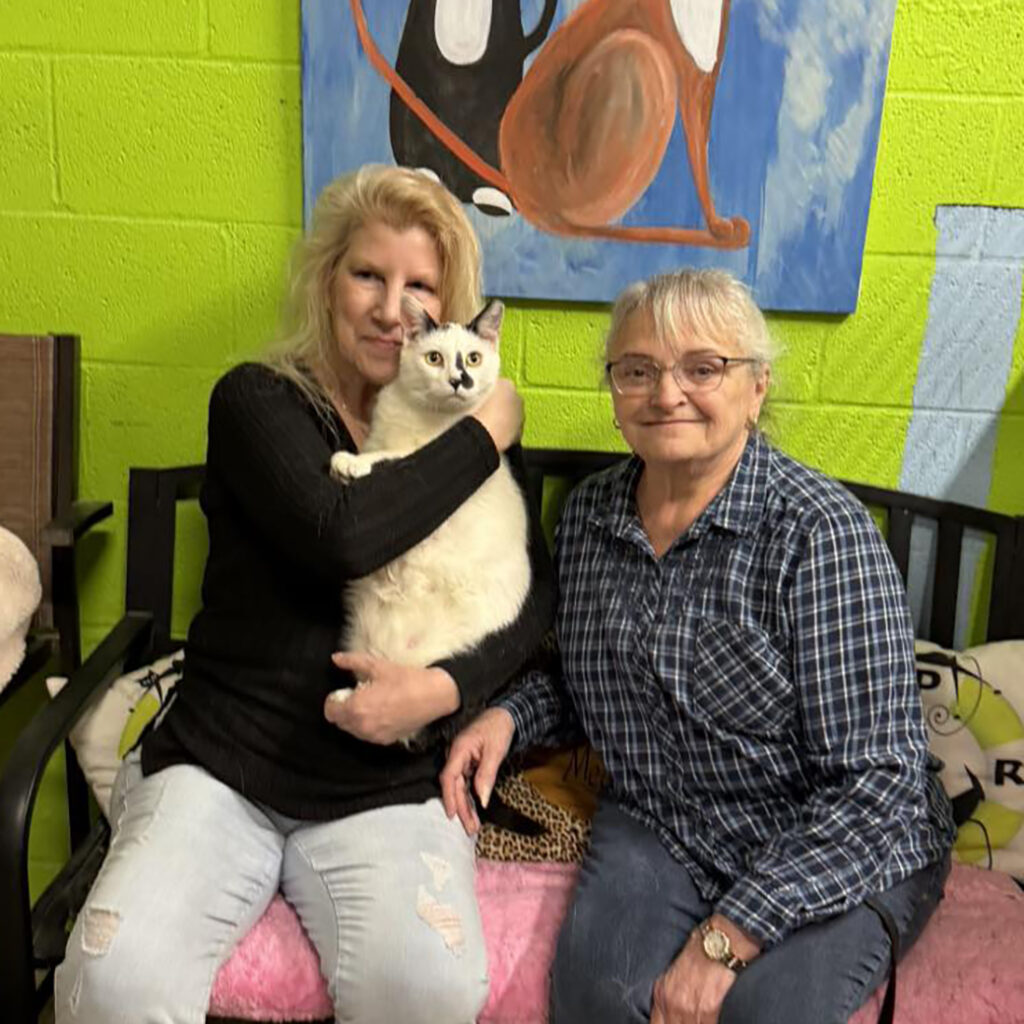 March 2026 Adopter (12)