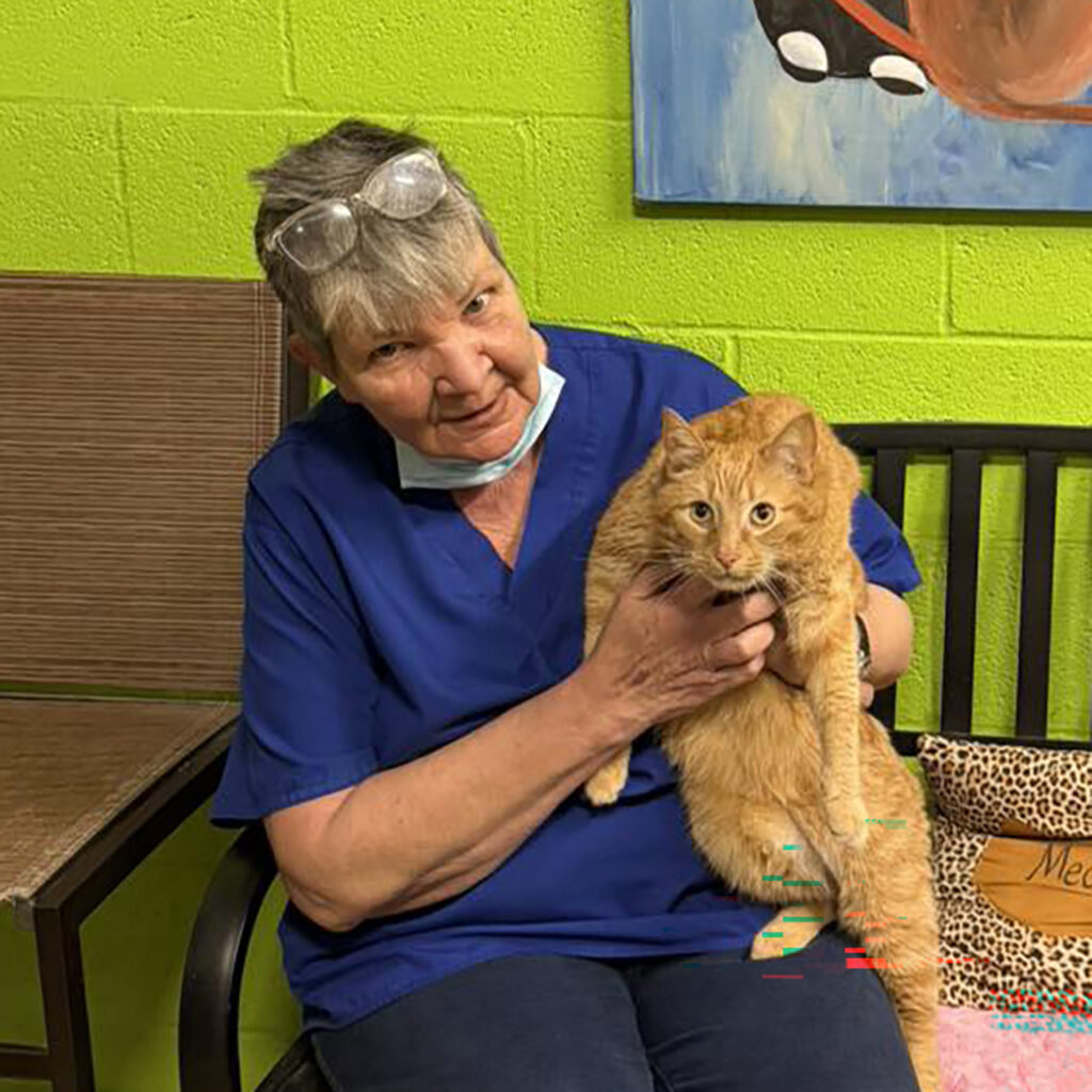 April 2026 Adopters (3)