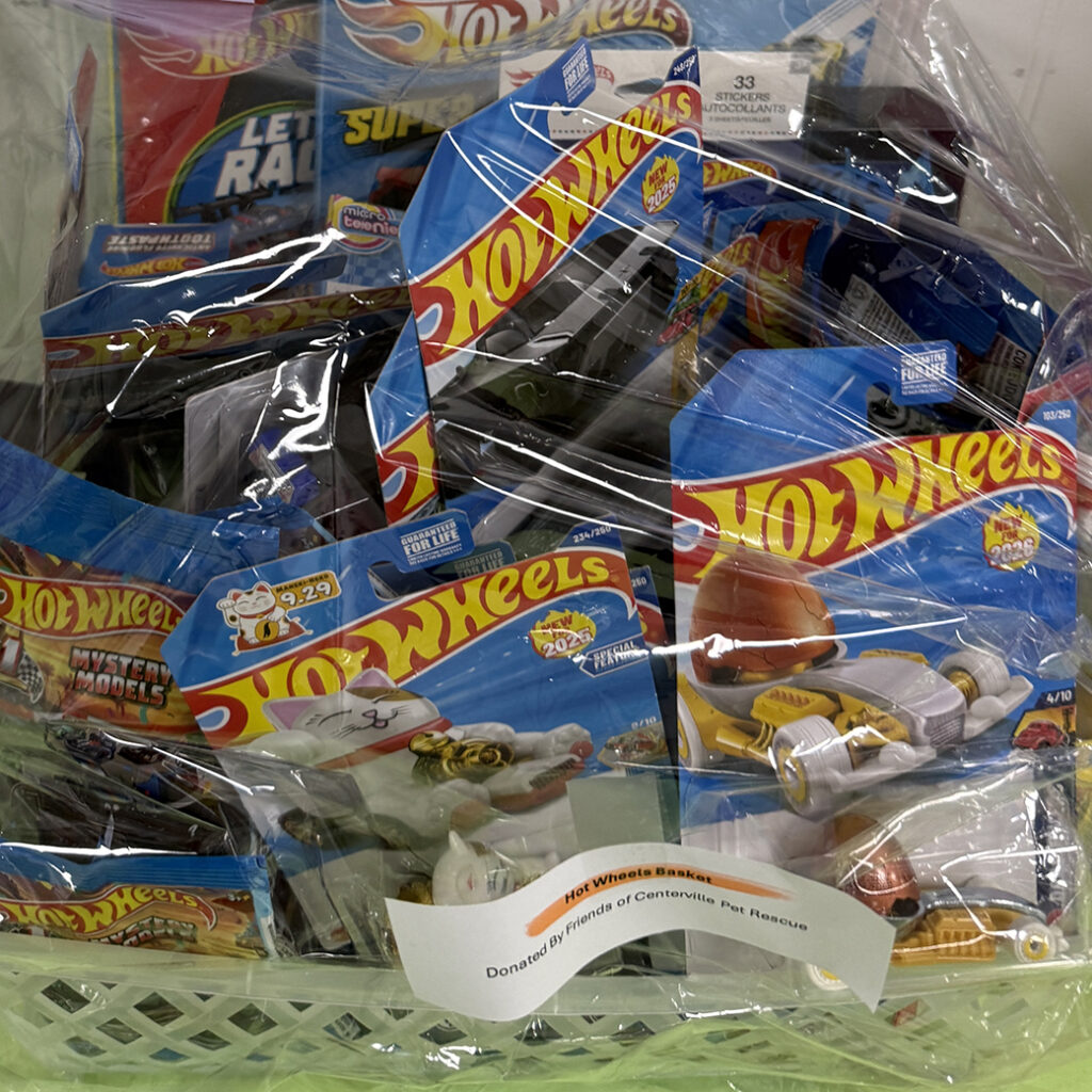 Hotwheels Raffle Prize