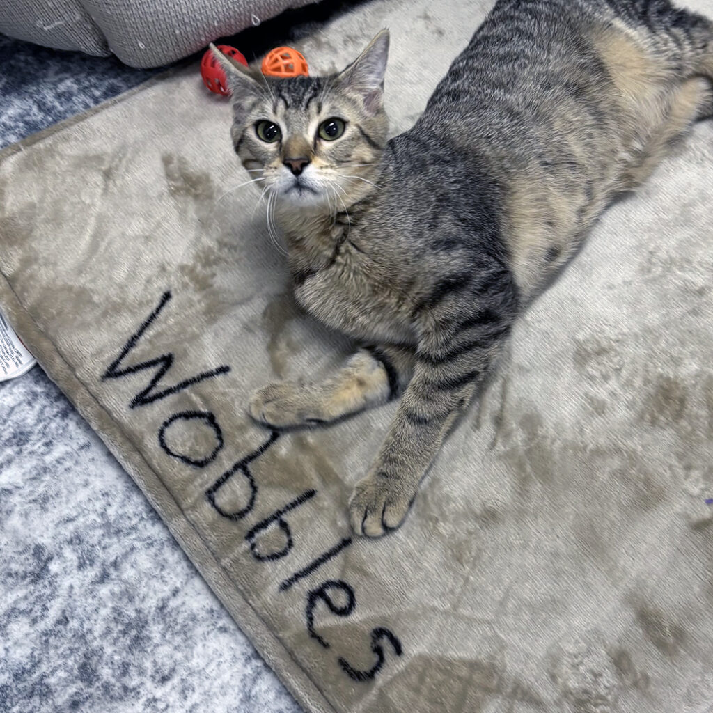 Wobbles