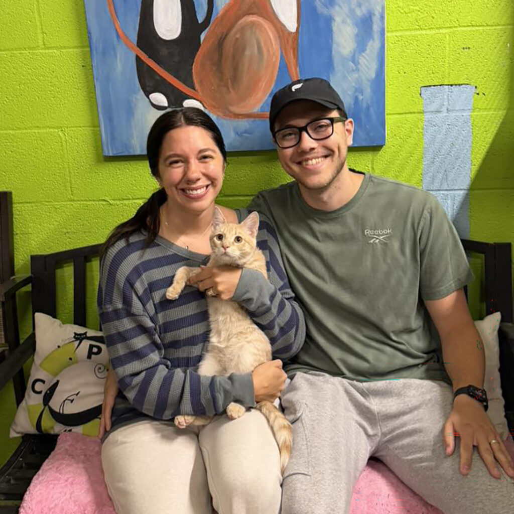 May Adopter (9)