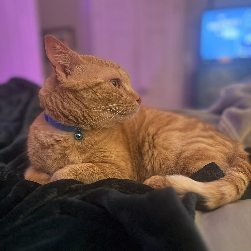 Steve Relaxing
