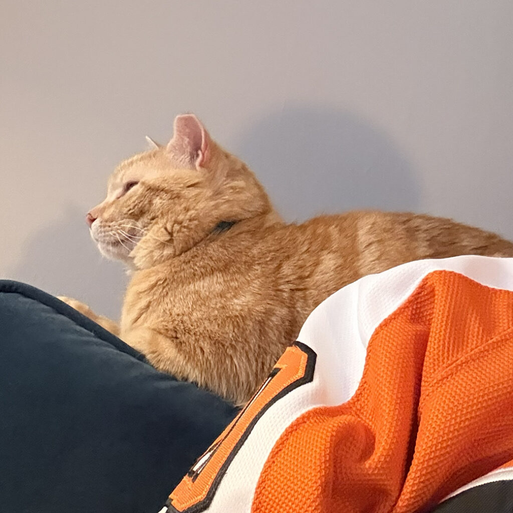 Steve a Flyers Fan Now