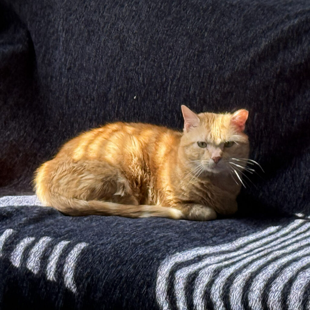 Steve on the Couch