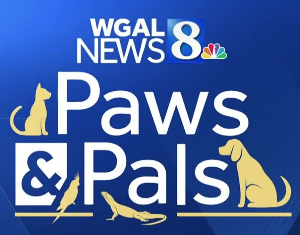 WGAL Paws and Pals