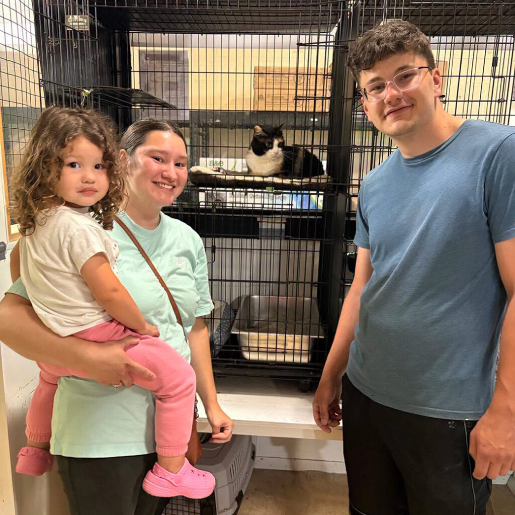 June Adopter (17)