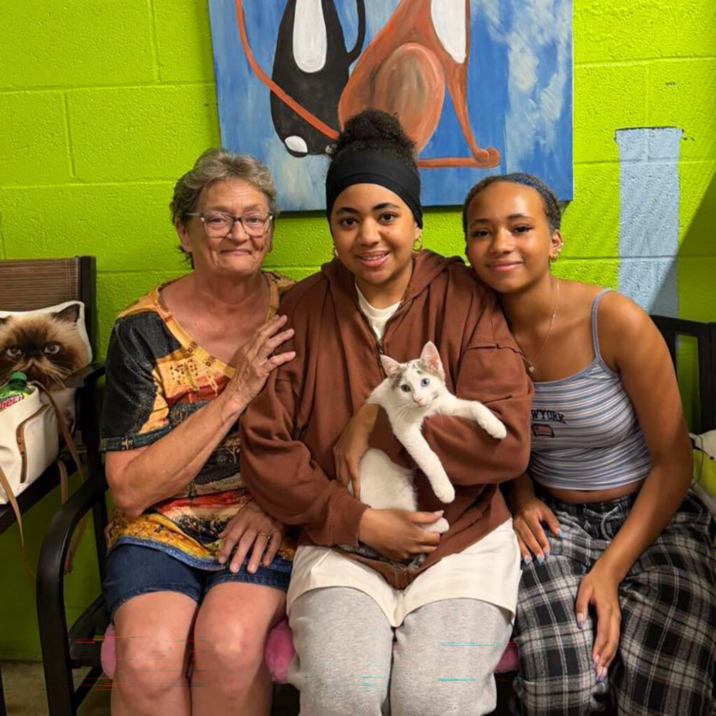 June Adopter (7)