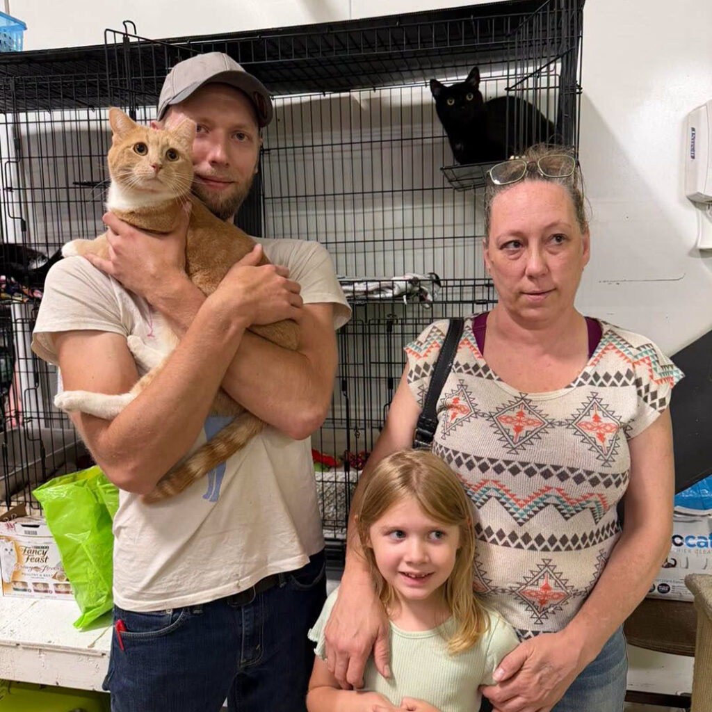 July 2026 Adopters (17)
