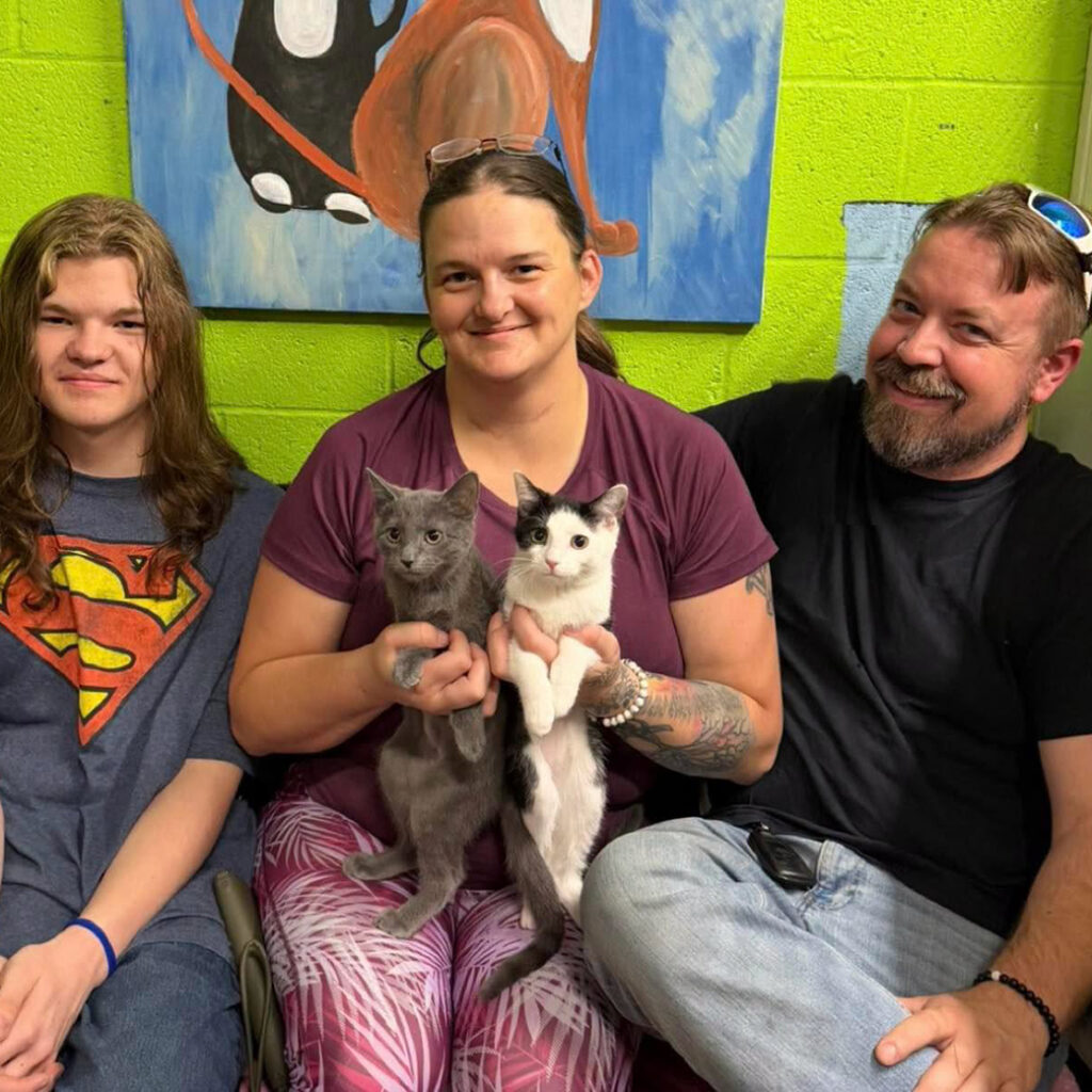 July 2026 Adopters (19)
