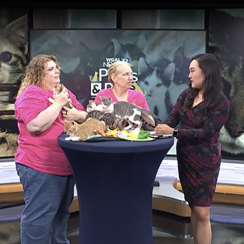 Paws and Pals July Appearance