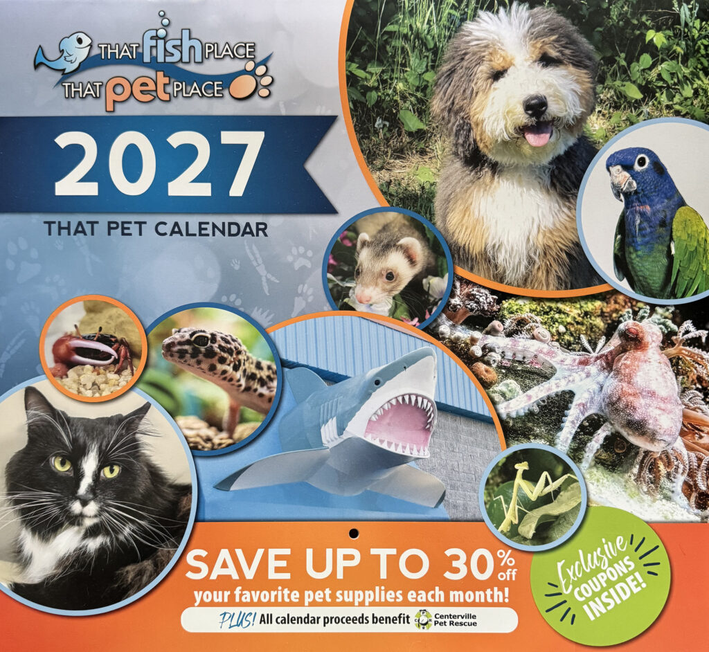 2027 Calendar