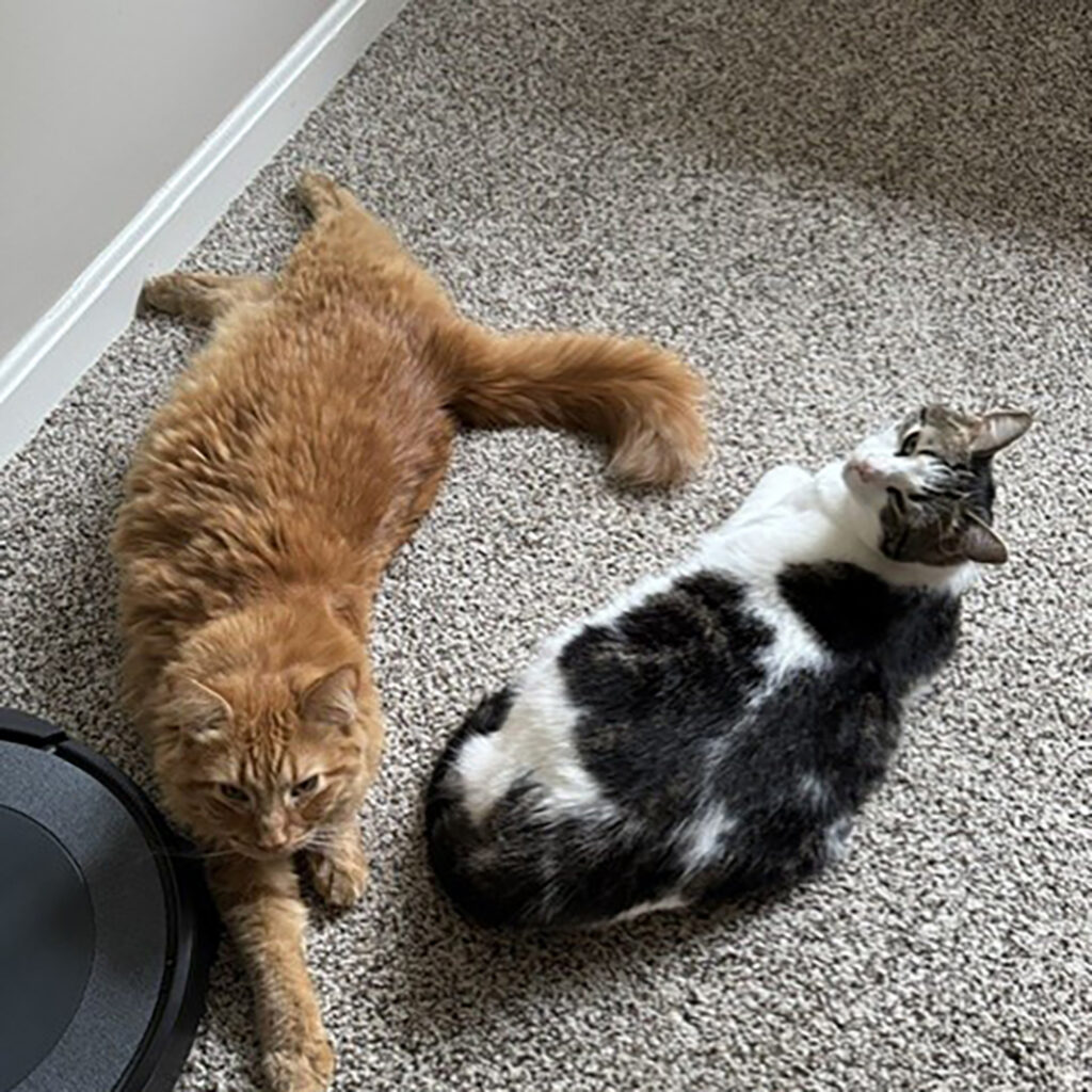 Ginger and Annie
