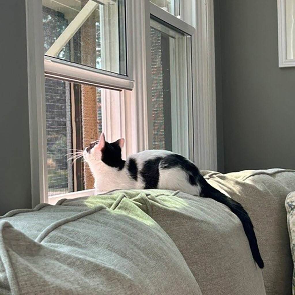 Molly Stella at the Window