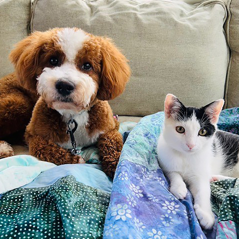 Molly Stella with Goldendoodle George