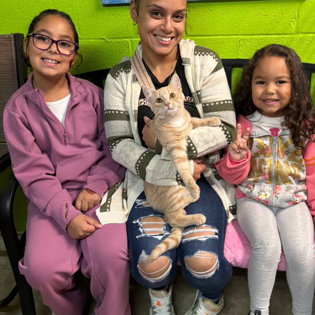Sept 2026 Adopters (12)