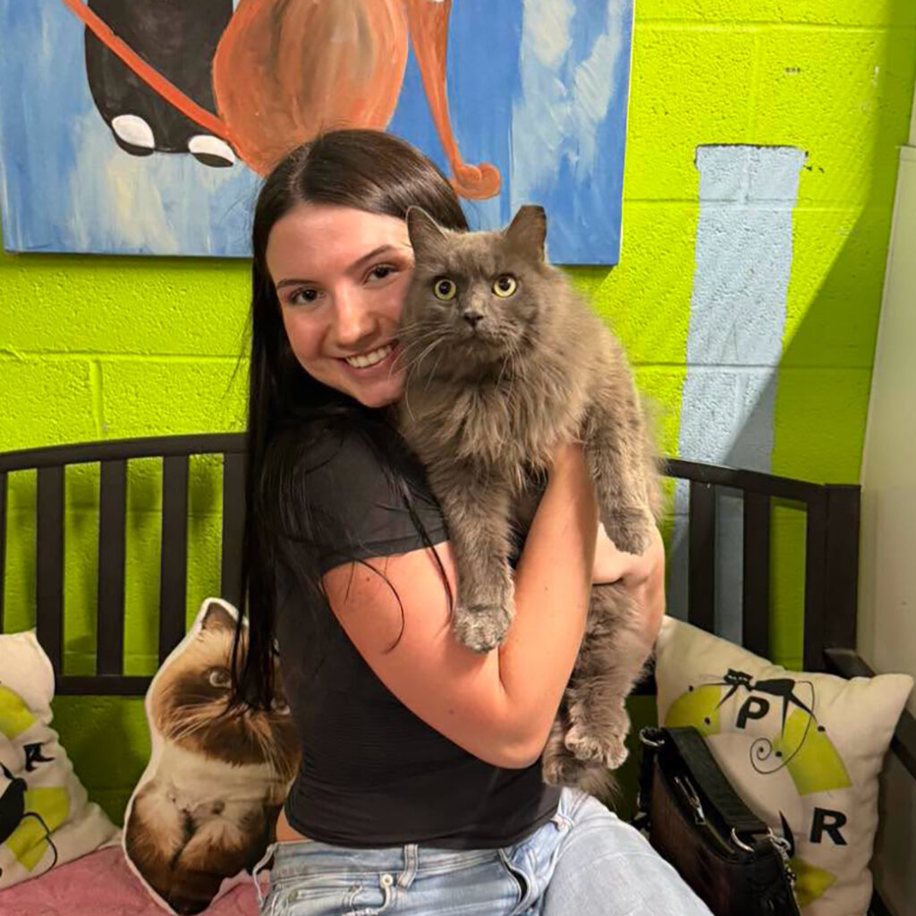 Sept 2026 Adopters (19)