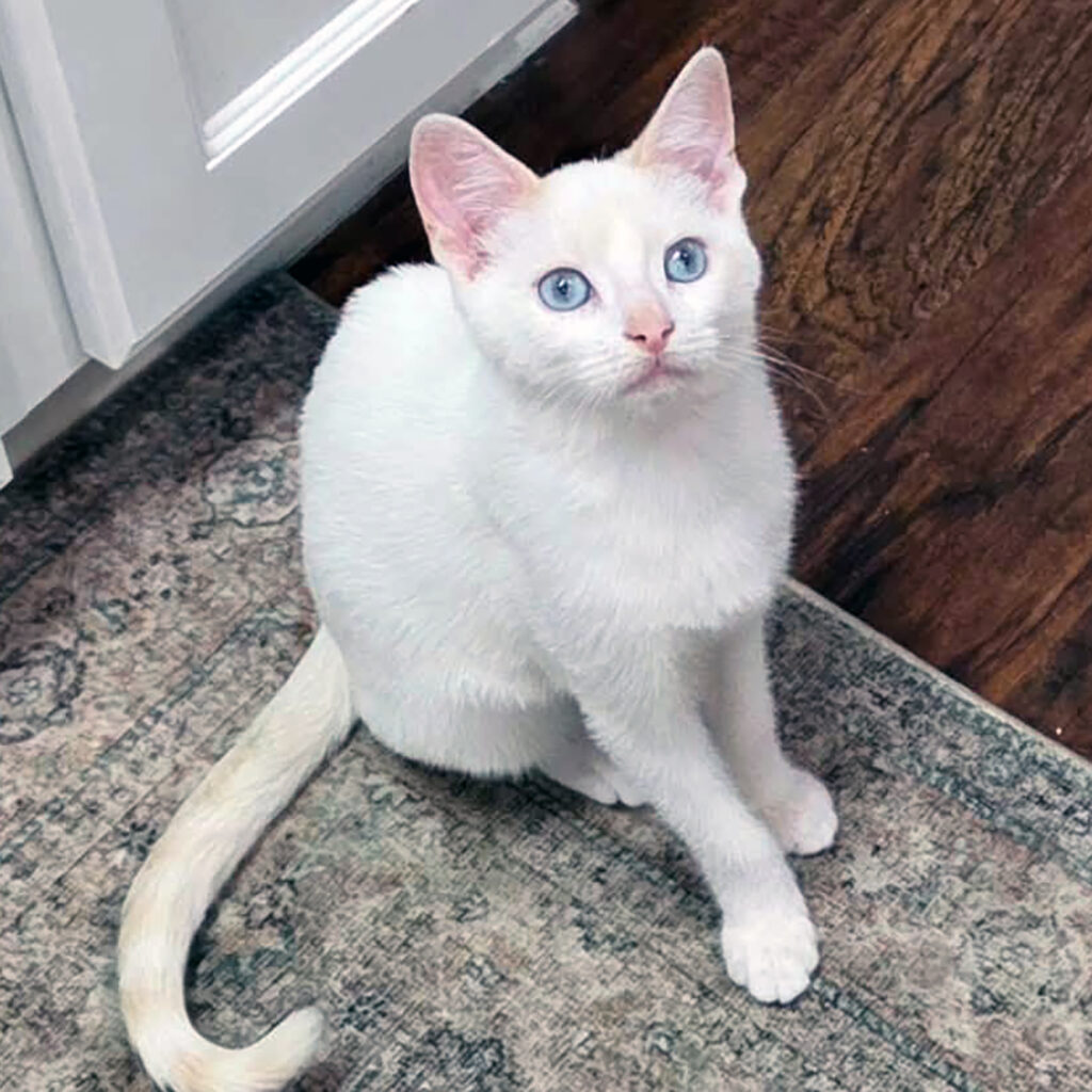 Willow Sitting Pretty